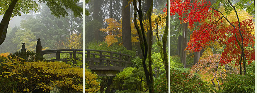 Peaceful garden scene with trees and a bridge